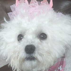 Meet your Posher, Larissa